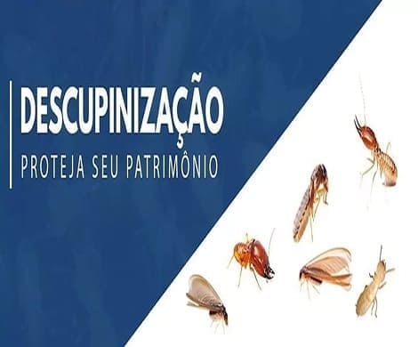 Descupinização em Bom Despacho MG