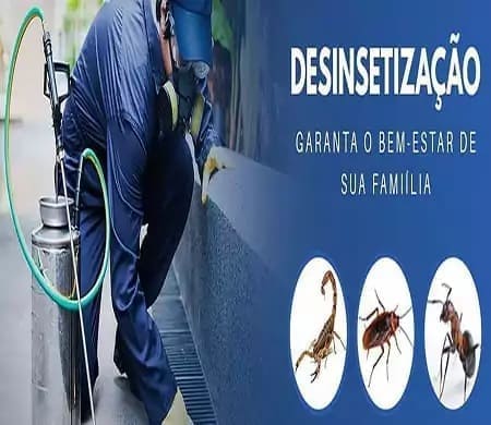 Minas Dedetizadora Dedetizações