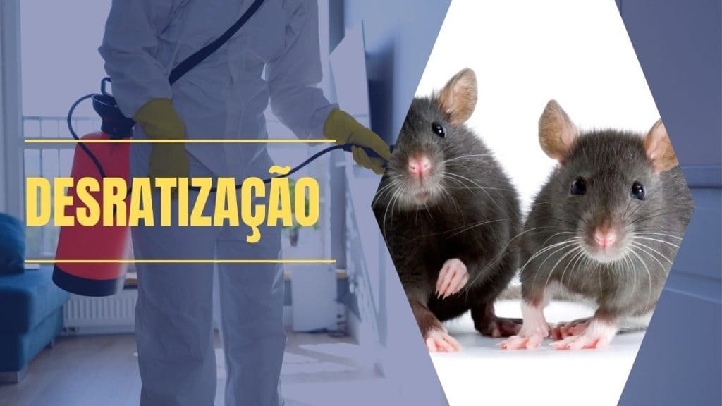 Desratização em Nova Serrana MG